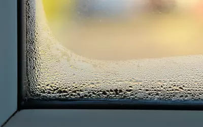 Condensation Gallery Image