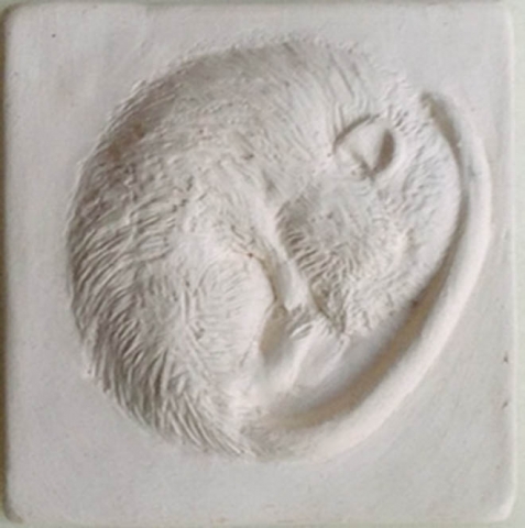 3" tile - Sleeping Dormouse Gallery Image